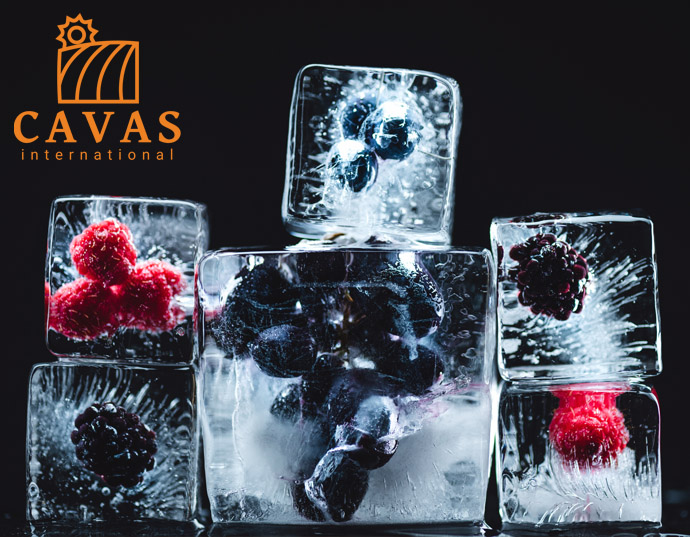 CAVAS International - Fruit trading 